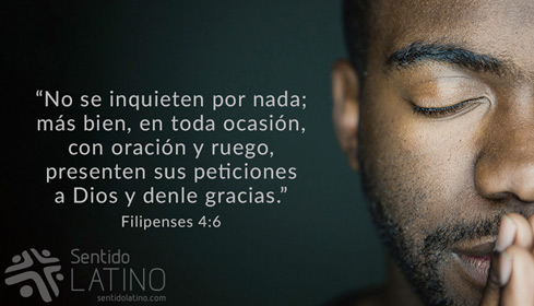 Sentido Latino web and design